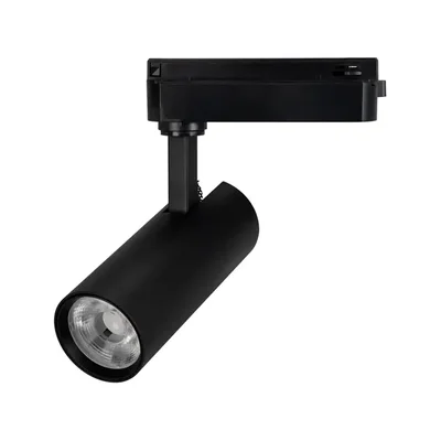 Светильник LGD-GERA-2TR-R55-10W Day4000 (BK, 36 deg, 230V) (Arlight, IP20 Металл, 5 лет)