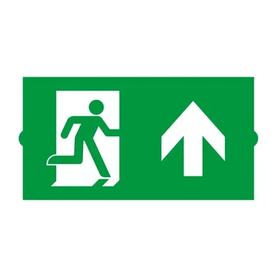 Пиктограмма EMGP-DIRECT-UP (Вверх) (Arlight, Пластик)