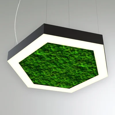 Светильник RVE-LBX-MOSS-HEXA-400 Шестиугольник со мхом 400x346x100мм