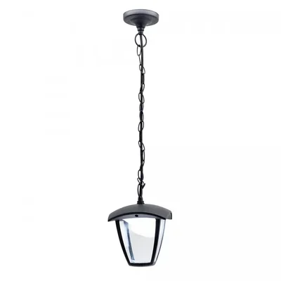 Уличный подвесной светодиодный светильник Citilux CLU04P