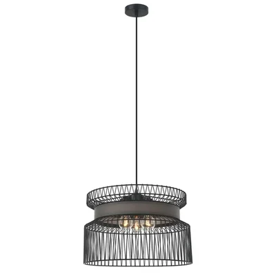 Подвесная люстра Favourite Korb 2363-2P