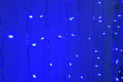 LED-PL-1920-240V-2*1.5M-B/С (синие светодиоды/прозрачный пр) 2023