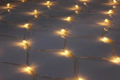 LED-SNL-432-2*3M-240V-WW/C БЕЛЫЕ ТЕПЛЫЕ LED на прозрачном проводе, соединяемая