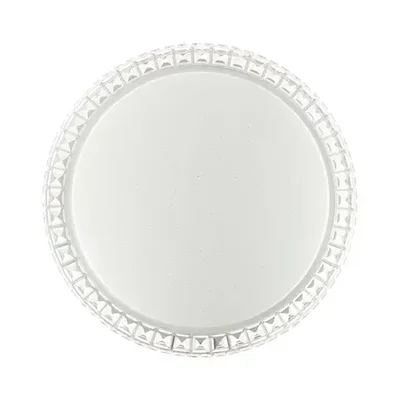 2036/FL PALE SN 145 Светильник пластик/белый/прозрачный LED 90Вт 3000-6300K D600 IP43 пульт ДУ BRISA