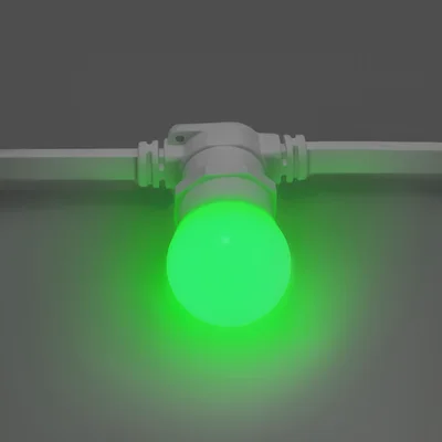 Лампочка для Белт-Лайта INOXHUB 220В, цоколь E27, 6 диодов SMD 2835, G45, 2Вт, ЗЕЛЕНАЯ