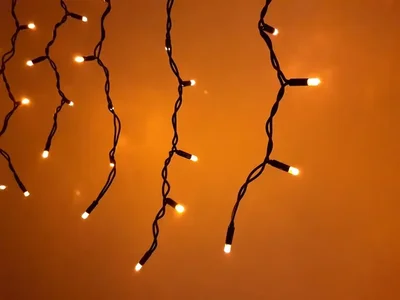 LED-RPLR-160-4.8M-240V-Y/BL желтые светодиоды/черный провод