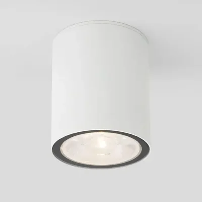 Уличный светодиодный светильник Elektrostandard Light 35131/H белый 4690389176579