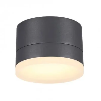 Уличный светодиодный потолочный светильник Novotech Kaimas 358084