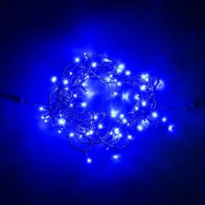 Гирлянда Нить 10м Синяя 24В, 100 LED, Провод Черный ПВХ, IP54