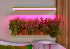 Светильники для растений: выбор по спектру излучения