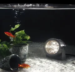 Подводные светильники: виды, применение, монтаж