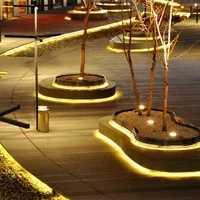 Гибкий неон для улицы