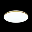 3043/EL TAN SN 000 Светильник пластик/золот. LED 72Вт 3000-6500К D490 IP43 пульт ДУ/ LampSmart LASSA