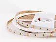 Светодиодная лента LEDS POWER 2835 120/м (12Вт/м) 24В 10м/кат. холодная