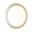7650/DLN PALE SN 141 Светильник пластик/белый/золотой LED 48Вт 3000/4000/6000К D380 IP43 CCT TOFIQ WHITE