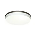 7668/DLN COLOR SN 152 Светильник пластик/белый/темно-коричневый LED 48Вт 3000/4000/6000К D415 IP43 CCT NOHAVA BROWN