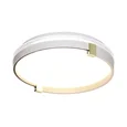 7646/CLN PALE SN 189 Светильник пластик/белый/золотой LED 36Вт 4000К D340 IP43 OLIDI WHITE