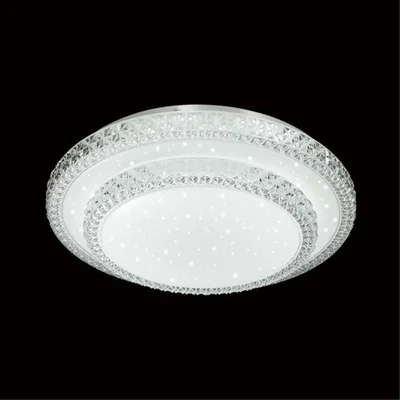 2041/DLN PALE SN 197 Светильник пластик/белый/прозрачный LED 48Вт 3000/4000/6000K D350 IP43 CCT FLOORS