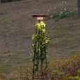 7108/15GL NATURE ODL26 659 Уличный встраиваемый в грунт светильник 940мм окраш. под дерево/металл IP65 LED 12W 278Лм 3000K 220-240V LIANA