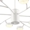 8265/18 COMFI LN26 233 металл, белый Люстра GX53 LED 18*7W 220V TORINA
