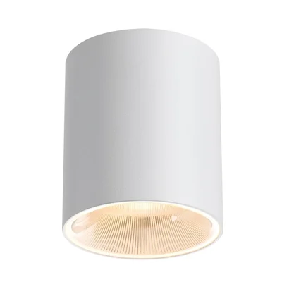 7139/12CL HIGHTECH ODL26 325 Потолочный светильник белый/металл IP20 LED 12W 840Лм 3000K/4000K/6000K 36° 220-240V BRIM