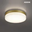 359733 STREET NT25 780 золото матовое Светильник ландшафтный с переключ. цв. температуры и мощности LED IP65 20/25/30W 180-265V 2700К\3200К\4000К OPAL