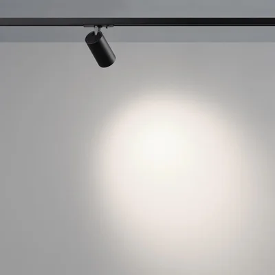 359907 PORT NT26 000 черный Светильник однофазный трехжильный трековый IP20 LED 10W 220-240V 4000К SELENE