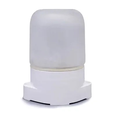 Светильник ЖКХ НПБ-400 General GCF-SNP-60-E27-IP65-W для сауны, 437783, белый