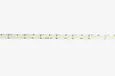 Светодиодная лента LEDS POWER 2835 240/м (11,5Вт/м) 24В нейтральная, серия ПРО185