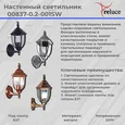 Светильник на штанге Reluce 00837-0.2-001SW BKSL