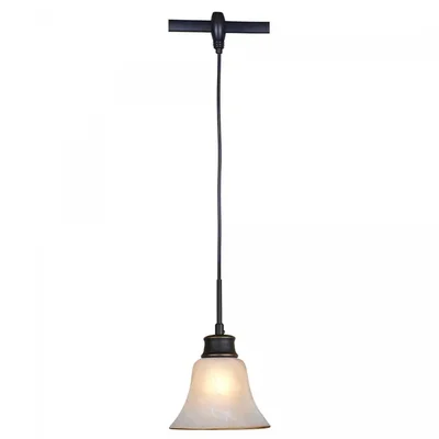 Трековый светильник Citilux Классик CL560215