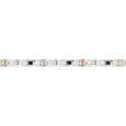 Светодиодная лента DMX-B60-10mm 12V RGB-PX3 (14 W/m, IP20, 5m) (Arlight, -) 039174(1)