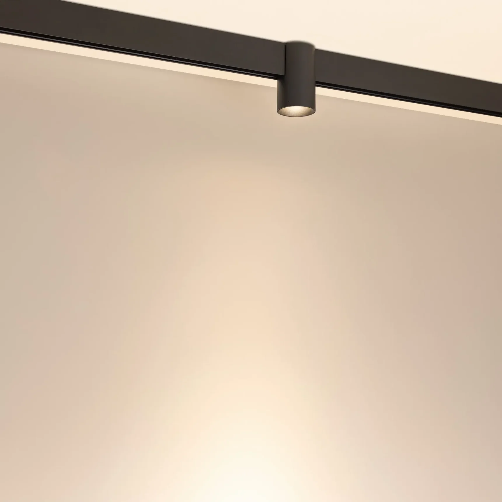 Светильник MAG-ORIENT-AXIO-R60-15W Warm3000 (BK, 24 deg, 48V) (Arlight, IP20 Металл, 5 лет) 059257