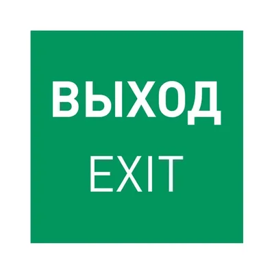 Пиктограмма EMGP-MARK-EXIT-FLAG (Выход) (Arlight, Пластик) 064909