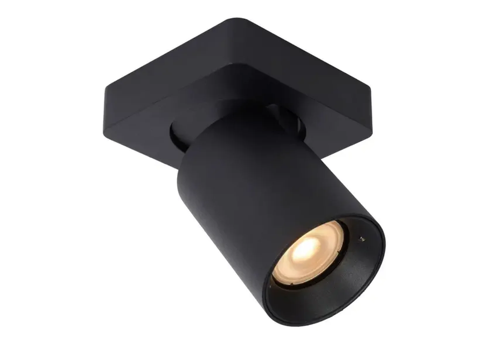 Спот Lucide Nigel 09929/05/30