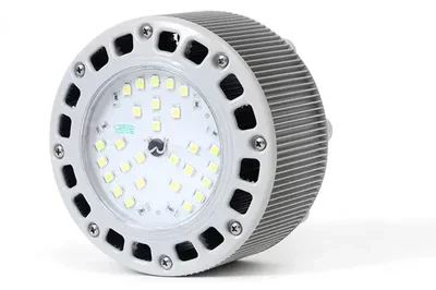 Светодиодный светильник ПСС 30 КОЛОБОК Д