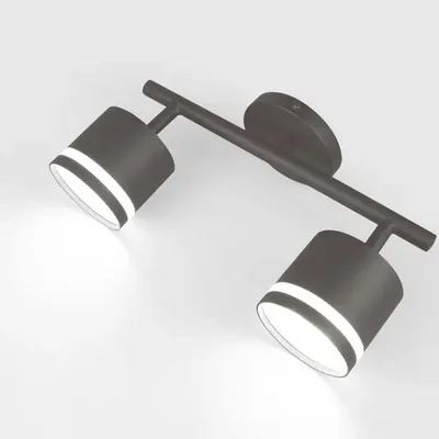 Спот на основании GWL-2GX53-M-IP20 Двойной Графит с боковым рассеивателем Башня, 661738