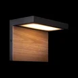100001W Уличный настенный светильник LOFT IT Oak