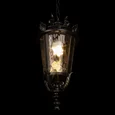 100003P Уличный подвесной светильник LOFT IT Verona