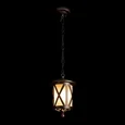 100016P Уличный подвесной светильник LOFT IT Ravenna