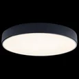 Накладной светильник Axel 1 10002/24 Black