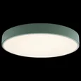 Накладной светильник Axel 1 10002/24 Green