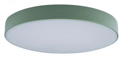 Накладной светильник Axel 1 10002/24 Green