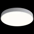 Накладной светильник Axel 1 10002/24 White