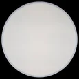 Накладной светильник Axel 1 10002/24 White