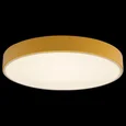 Накладной светильник Axel 1 10002/24 Yellow