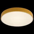 Накладной светильник Axel 1 10002/24 Yellow