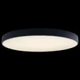 Накладной светильник Axel 1 10002/48 Black