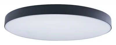 Накладной светильник Axel 1 10002/48 Black