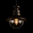 100022P Уличный подвесной светильник LOFT IT Piemonte